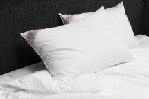 Подушка средняя 50х68 German Grass LUXURY SILK GRASS 