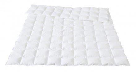 Одеяло 200х220 Traumina LUXURY DAUNE No.1 Легкое (WK2)