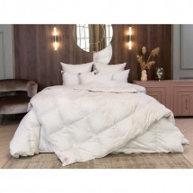 Одеяло всесезонное 240х220 German Grass Silver Down  