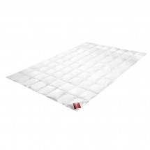 Одеяло пуховое легкое 200х200 Brinkhaus Carat 