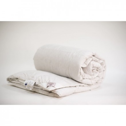 Одеяло всесезонное 200х200 German Grass Silver Down   