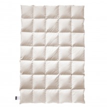 Одеяло пуховое 155х200 Billerbeck FRIEDA Cassette II 