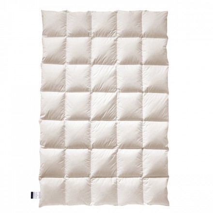 Одеяло пуховое 155х200 Billerbeck FRIEDA Cassette II 