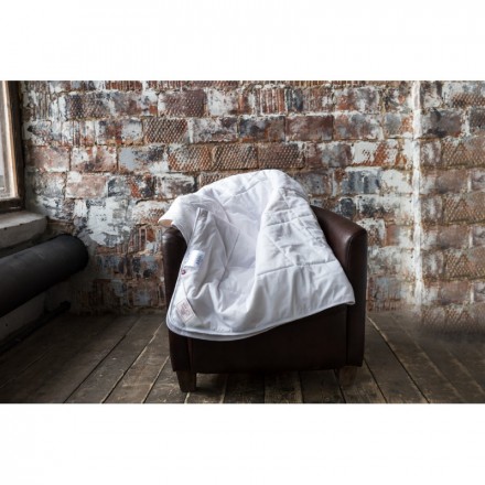 Одеяло легкое 260х240 German Grass Сottonwash