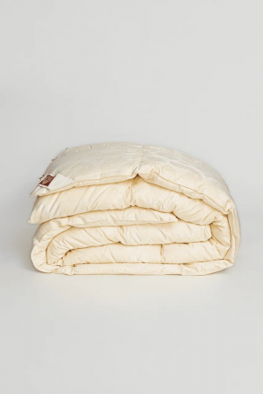 Одеяло всесезонное 240х220 German Grass Silk Down Grass