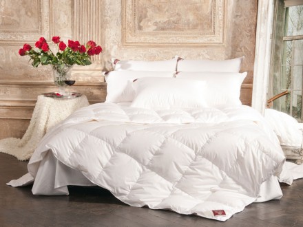 Одеяло пуховое теплое 220х240 German Grass Grand Down