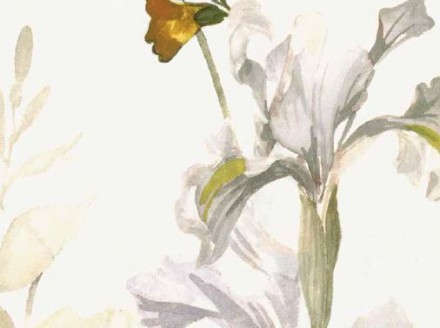 Постельное белье 2 спальное евро Blumarine BEATRICE 07 chick yellow желтое