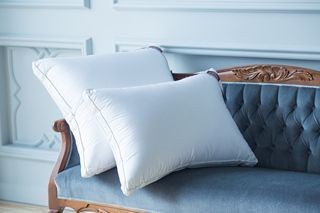 Подушка пуховая с бортиком 68x68 German Grass Queen Down Grass