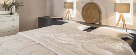 Одеяло всесезонное 200х220 Brun De Vian-Tiran CAMARGUE-300