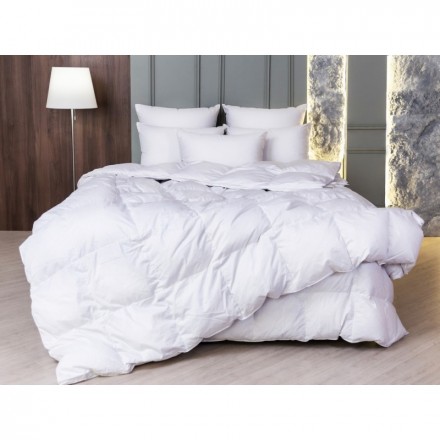 Подушка средняя с бортиком 60х80 German Grass White Familie Down