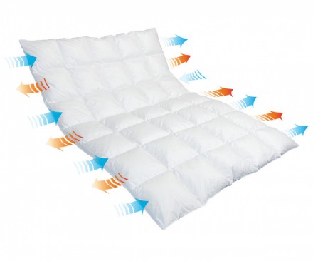  Одеяло Всесезонное 200х220 Traumina BREEZE DAUNE (WK2)