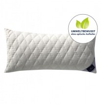 Подушка 50x70 Billerbeck Bilind