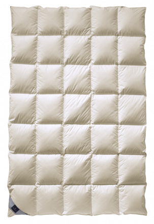 Одеяло пуховое 220х240 Billerbeck Duchessa Mono