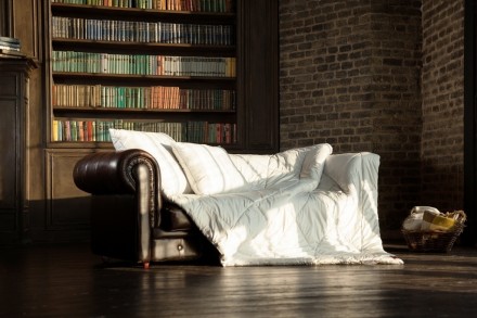 Одеяло верблюжье легкое 200х200 German Grass Camel Wool Grass