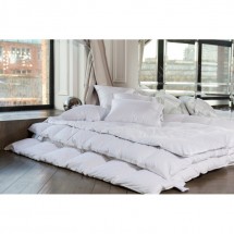 Одеяло пуховое всесезонное 260х240 German Grass White Familie Down