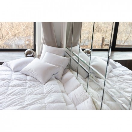 Одеяло пуховое всесезонное 200х200 German Grass White Familie Down