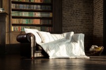 Одеяло верблюжье всесезонное 200х200 German Grass Camel Wool Grass