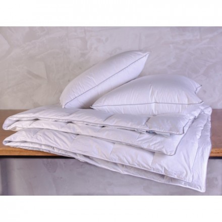 Одеяло всесезонное 220х240 German Grass Gray Familie Down