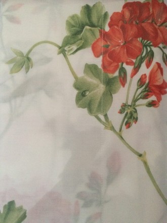 Постельное белье 2 спальное евро макси Mirabello Gerani оранжевое