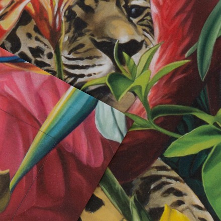 Постельное белье 2 спальное евро Roberto Cavalli PARADISE black 001