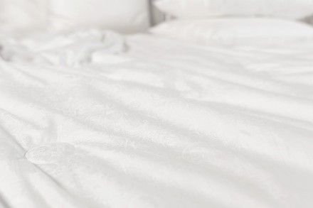 Одеяло всесезонное 240х220 German Grass PAISLEY SILK GRASS