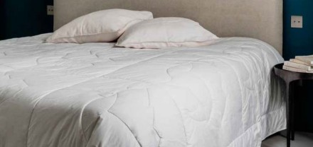 Одеяло всесезонное 200х220 Brun De Vian-Tiran ALPACA-300